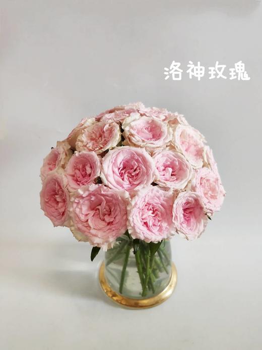 【秒杀福利】洛神 20支/扎 商品图3