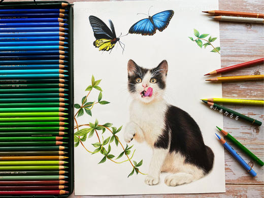 古风绘|03猫扑蝴蝶 商品图0