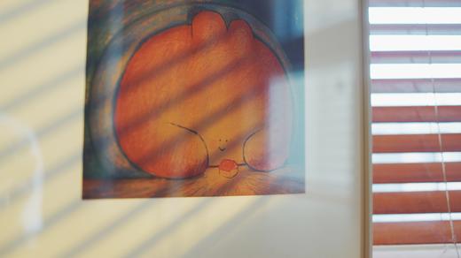 为什么是兔子 商品图9