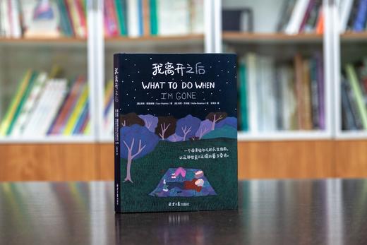 《我离开之后》 | 一个母亲给女儿的人生指南，以及那些来不及说的爱与牵挂 商品图1
