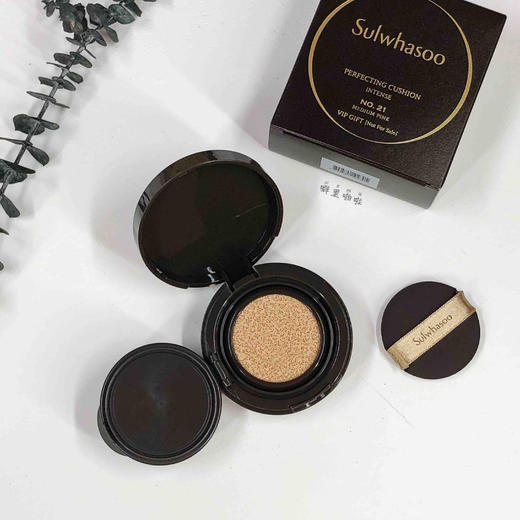 雪花秀至美臻颜气垫中样 5克 21号色 商品图1