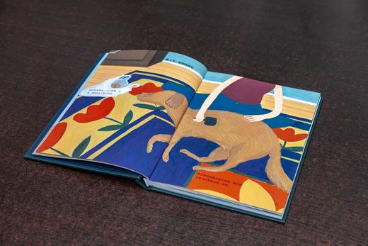 《我离开之后》 | 一个母亲给女儿的人生指南，以及那些来不及说的爱与牵挂 商品图2