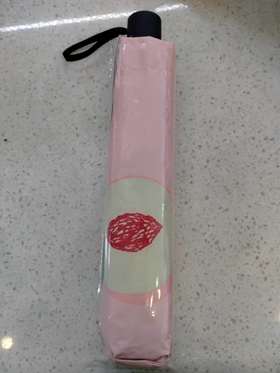 三才水果系列雨伞