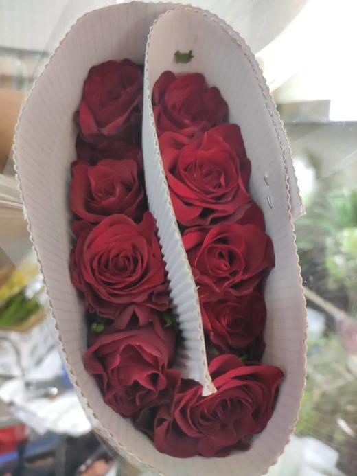 林奇玫瑰探险家10支扎40公分