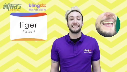 Day3-4-【tiger】 商品图0