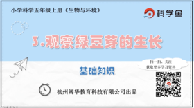 5.1.3《观察绿豆芽的生长》基础课程
