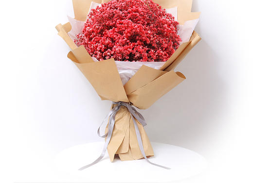 满天星（思念、青春、梦境、真心喜欢） 商品图1