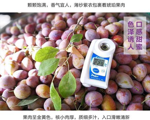 新疆喀什法兰西西梅家庭装/礼盒装 商品图3