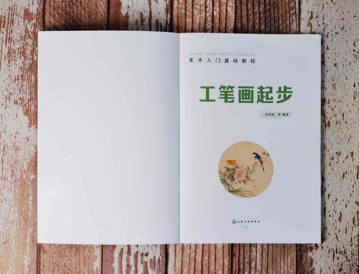 美术入门基础教程 工笔画起步 张恒国 工笔画入门教材绘画书籍 工笔画技法 工笔虫鸟花卉工笔花鸟上色方法 工笔画技法从入门到精通 商品图2
