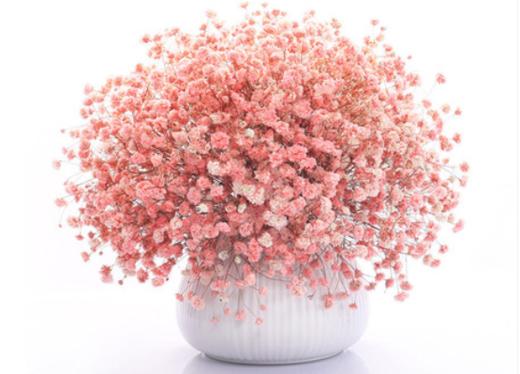 满天星干花一把（颜色可自由选择）—限襄阳市区 商品图0