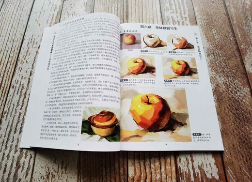 美术入门基础教程 水粉画起步 张恒国  水粉画起教材书籍 水粉画基础教程 山水画花鸟画梅兰竹菊果蔬动物的画法步骤详解水粉画技法 商品图4