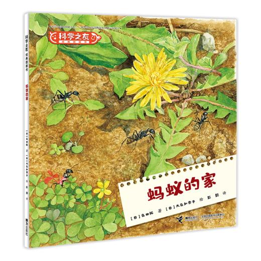 科学之友（全12册）+小科学之友（全12册）  附赠涂鸦本  3岁+  12个主题  让孩子在生活中发现科学 商品图8