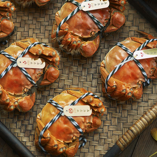 金世尊大闸蟹2388型 商品图0