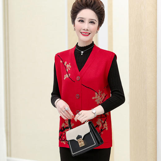 QYY-jp6077新品老年人春秋背心服薄款外穿马甲 商品图2