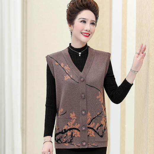 QYY-jp6077新品老年人春秋背心服薄款外穿马甲 商品图0