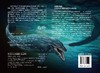 恐龙大王立体翻翻书 沧龙罗恩 3-6-8-10岁幼儿趣味科普立体书恐龙书籍侏罗纪 沧龙罗恩 掠海翼龙西蒙 少儿科普 启蒙认知 亲子读物 商品缩略图1