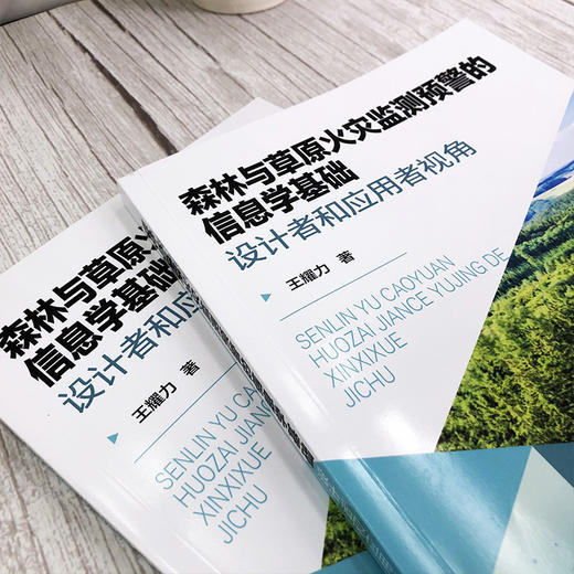 森林与草原火灾监测预警的信息学基础 设计者和应用者视角 王耀力 林草火灾监测预警系统的组成和应用实例 机器人研发技术书籍正版 商品图2