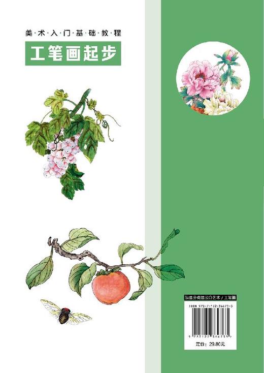 美术入门基础教程 工笔画起步 张恒国 工笔画入门教材绘画书籍 工笔画技法 工笔虫鸟花卉工笔花鸟上色方法 工笔画技法从入门到精通 商品图1