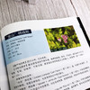 园林花境景观设计 第二版 英国花境公园花境道路花境庭院花境景观设计书籍 植物选择和花境设计原则花境植物品种大全园林绿化书籍 商品缩略图4