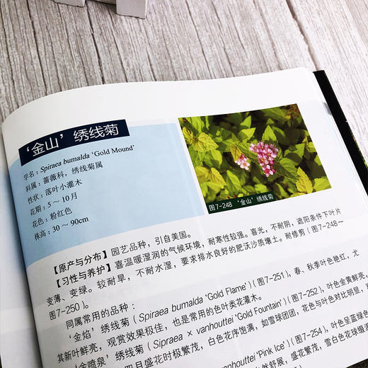 园林花境景观设计 第二版 英国花境公园花境道路花境庭院花境景观设计书籍 植物选择和花境设计原则花境植物品种大全园林绿化书籍 商品图4