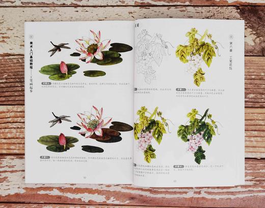 美术入门基础教程 工笔画起步 张恒国 工笔画入门教材绘画书籍 工笔画技法 工笔虫鸟花卉工笔花鸟上色方法 工笔画技法从入门到精通 商品图3