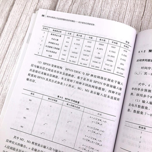 森林与草原火灾监测预警的信息学基础 设计者和应用者视角 王耀力 林草火灾监测预警系统的组成和应用实例 机器人研发技术书籍正版 商品图4
