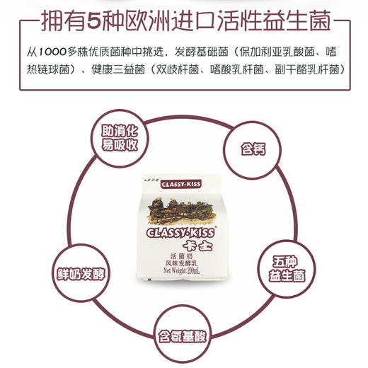 卡士酸奶活菌奶风味发酵乳200ml欧洲配方含5种活性益生菌低温酸奶 商品图2