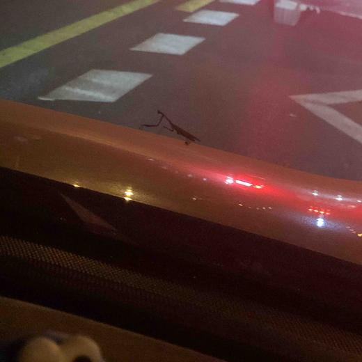 【勿动】交易UI自动化-1597817446721 商品图0