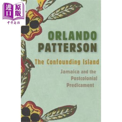 【中商原版】混乱之岛 英文原版 The Confounding Island 商品图0