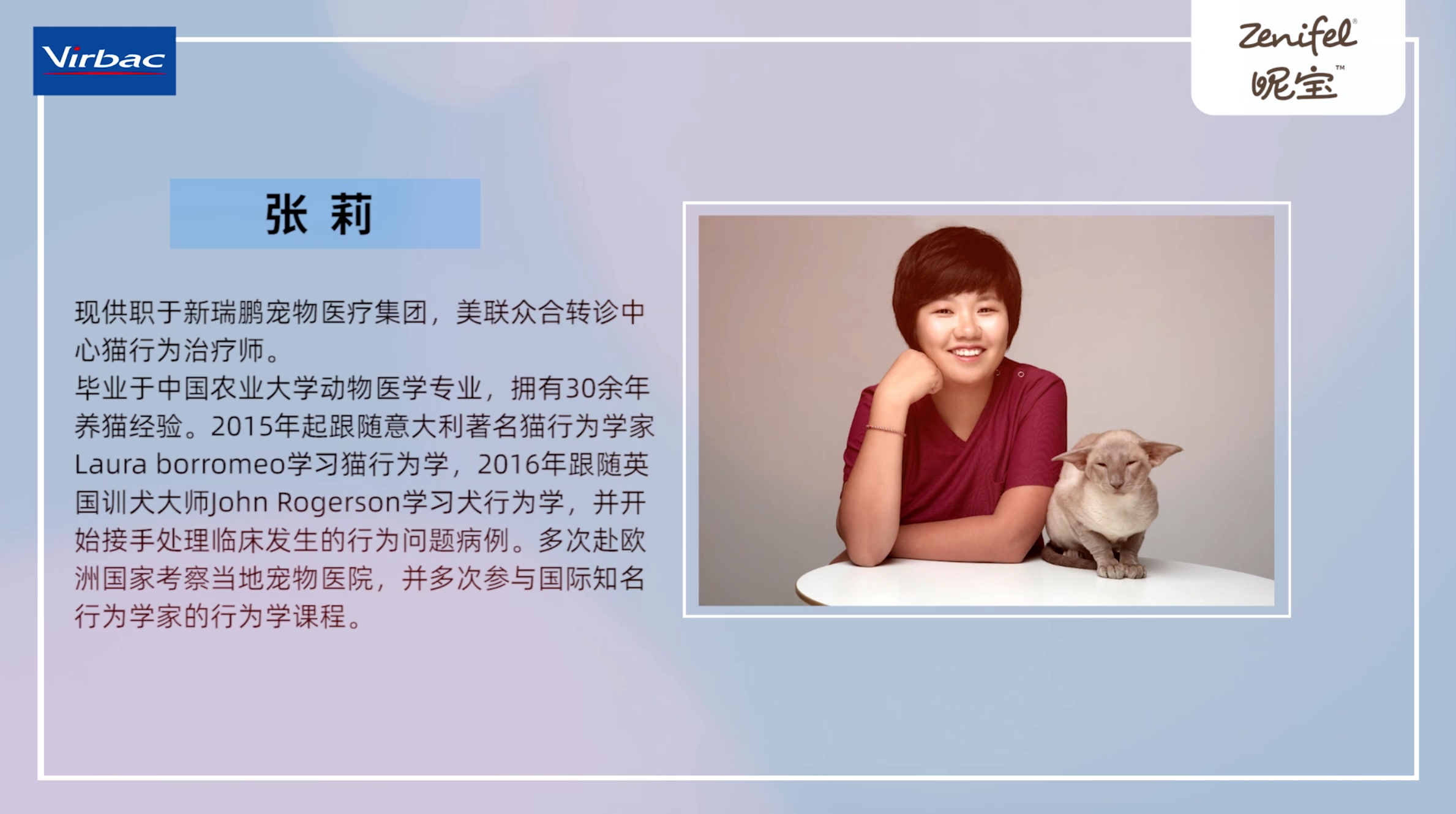 猫咪常见行为解密