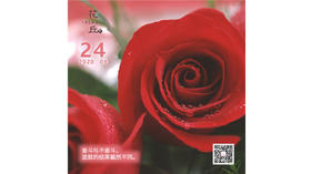 【花丘•心语】