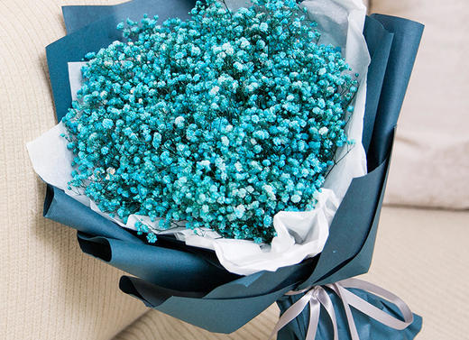 满天星（思念、青春、梦境、真心喜欢） 商品图0