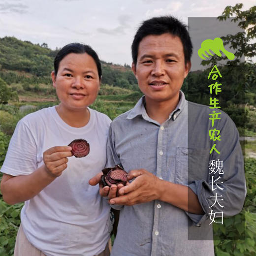 生态红甜茶 | 合作生产 *Eco Dried beetroot slices | Coproduction 商品图0