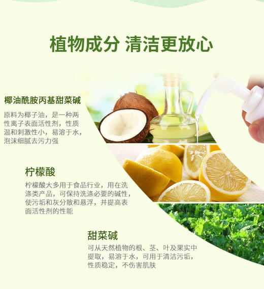 【Lelch露安适】 婴儿奶瓶植物清洗剂 0m+  600ml 商品图3