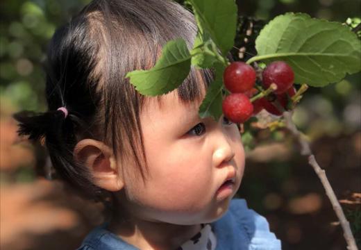 派派  2岁2个月  视频3 商品图0