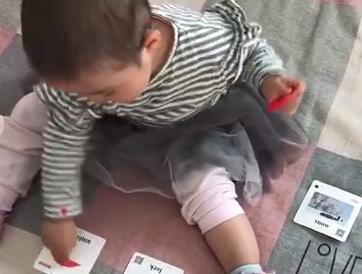 小贝壳 指认单词 商品图0