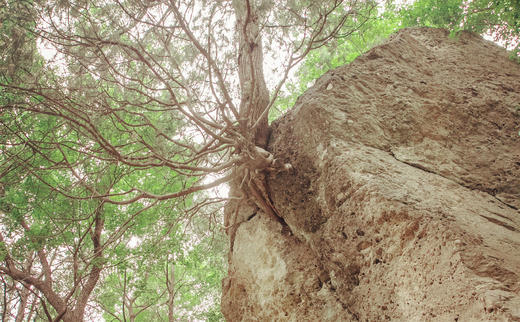 古记儿：“著”在西山的传说 商品图0