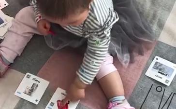 小贝壳  和妈妈一起指认 商品图0