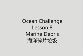 海洋碎片