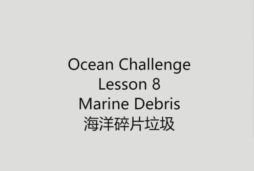 海洋碎片 商品图0