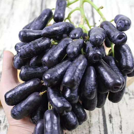 云南蓝宝石黑提500g 商品图3