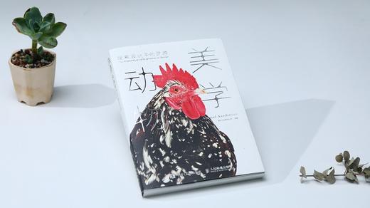 探索设计中的灵感 动物美学 商品图8