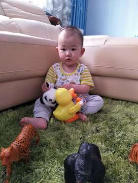 一岁的马五一在进行指物练习