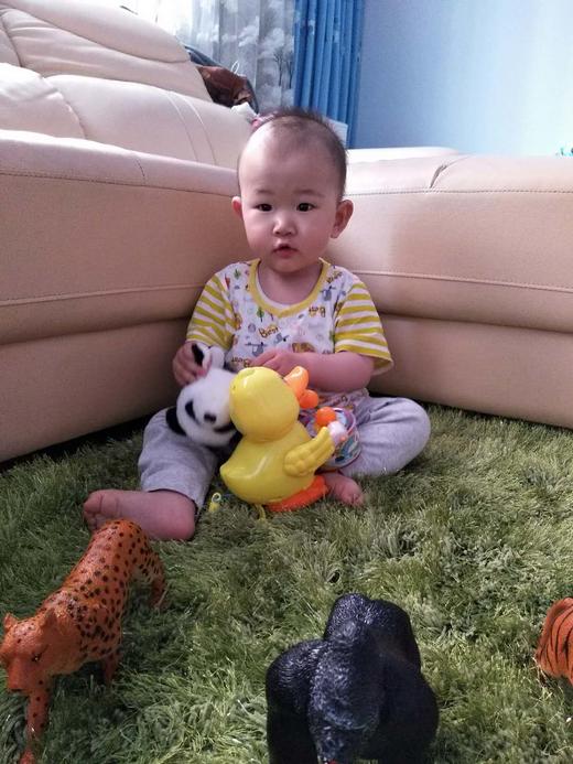 一岁的马五一在进行指物练习 商品图0