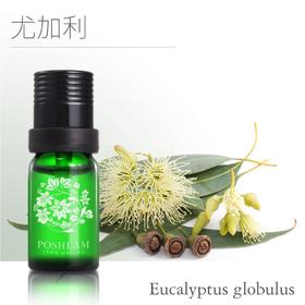 1F宝琪兰尤加利精油