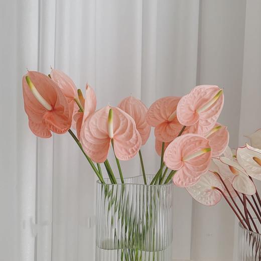 【周四团购】粉色荷冠掌5枝69.8元 2人拼团 商品图2