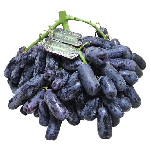 云南蓝宝石黑提500g 商品图0