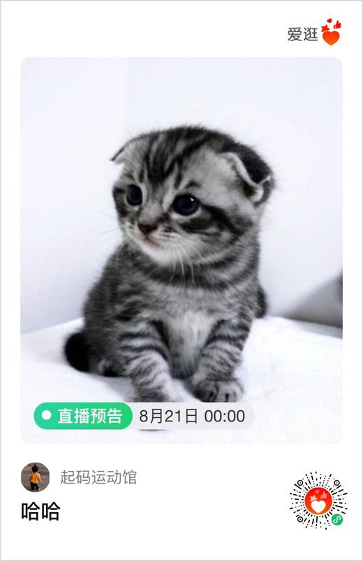 漾漾漾漾杨阳阳阳阳晕晕晕 商品图0