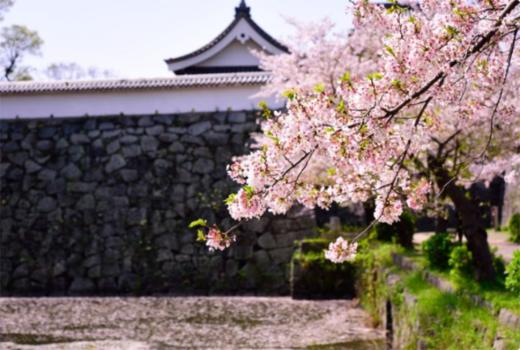 第一次去福冈推荐景点 商品图5