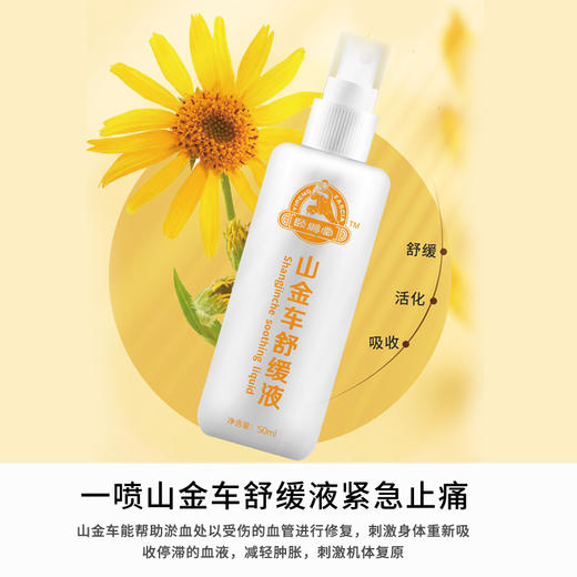 山金车草本舒缓套 (海南分院) 商品图2